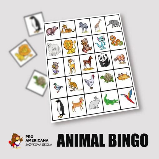 BINGO - Zvieratá